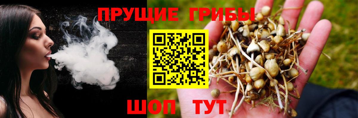 Радужный  Псилоцибиновые грибы Cubensis  Галлюциногенные грибы прущие грибы  Вход с VPN 